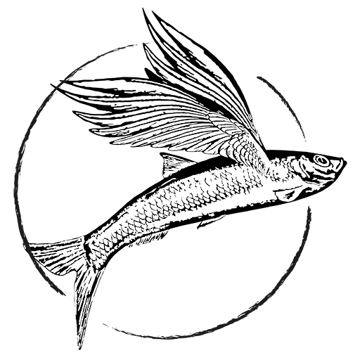 Miss Hope goes fishing